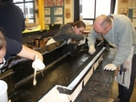 016_applying_carbon_to_body_mould_1.JPG